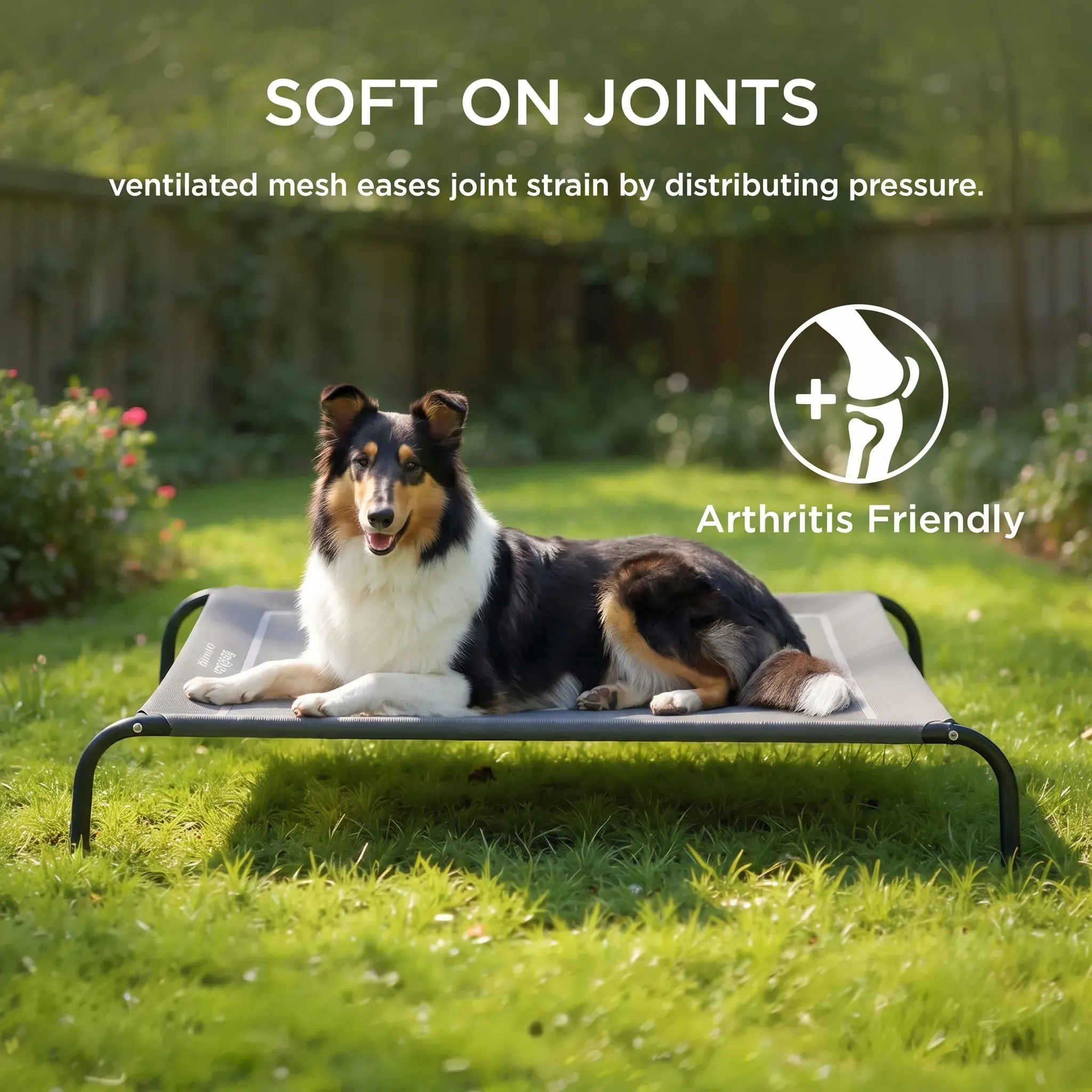 Bedsure Elevated Outdoor Dog Bed thumbnail